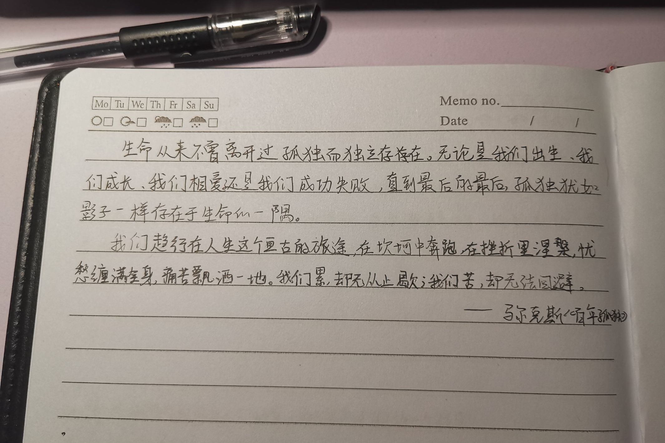图为聂楚琳的摘抄.记者  聂楚琳 摄